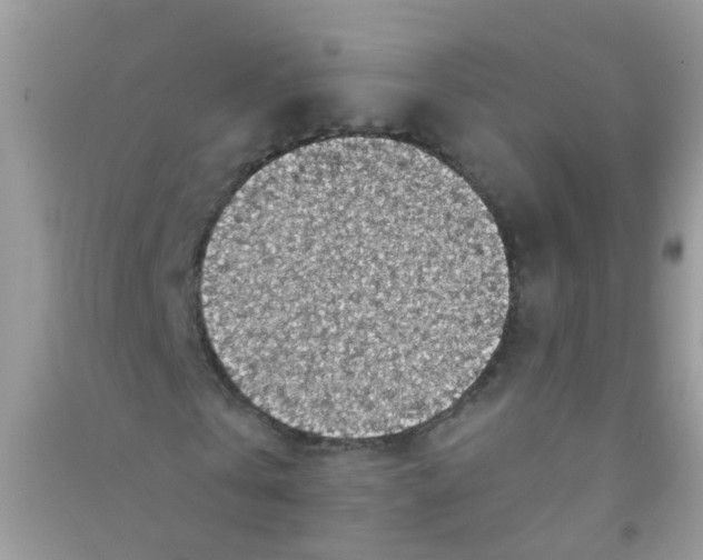 X0000090770769200708172107