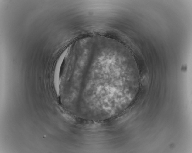 X0000090770772200708172107