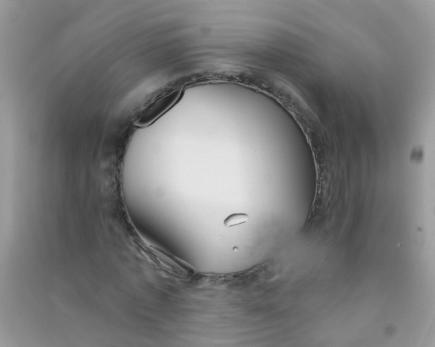 X0000090770773200708172107