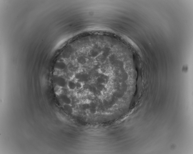 X0000090770775200708172107