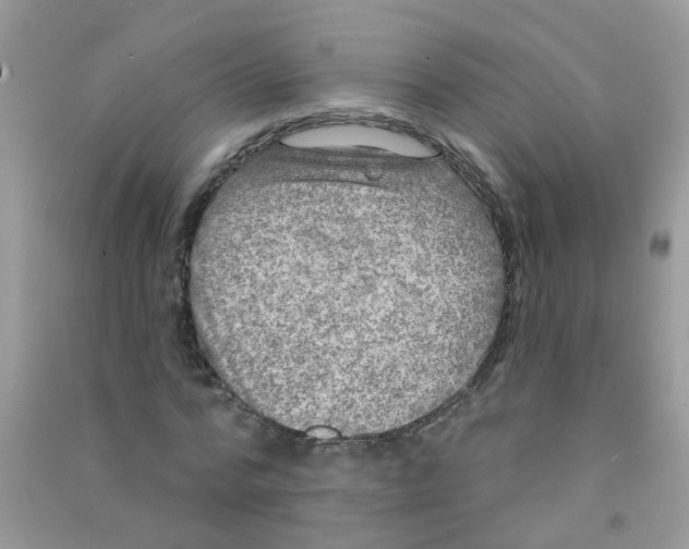 X0000090770776200708172107