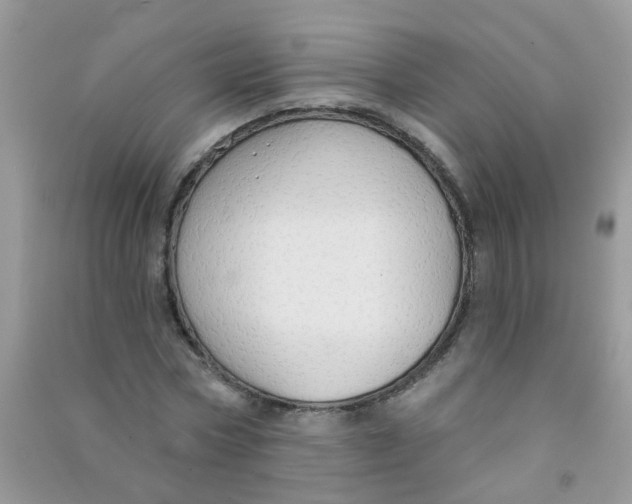X0000090770778200708172107