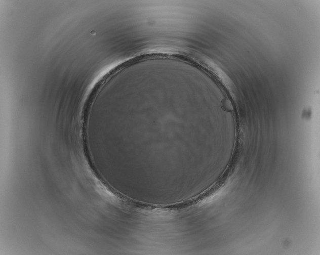 X0000090770779200708172107