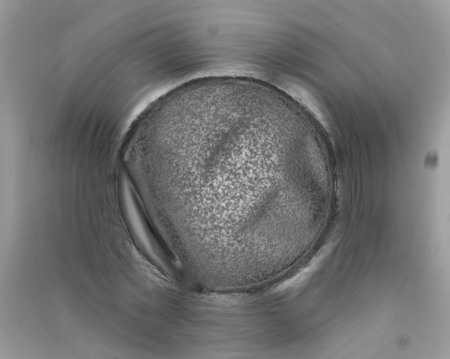 X0000090770781200708172107