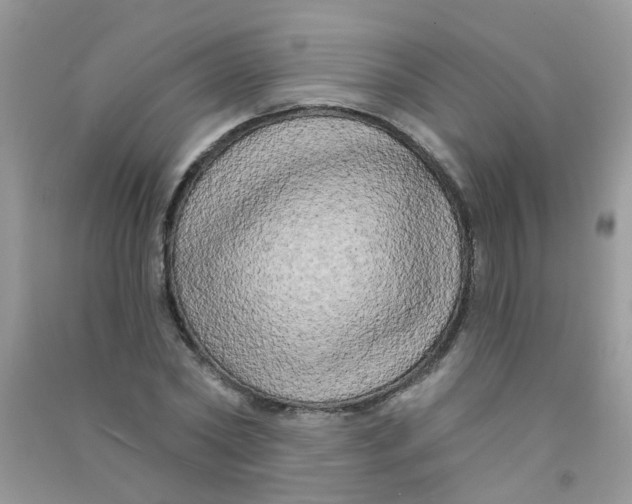 X0000090770782200708172107