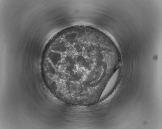 X0000090770783200708172107