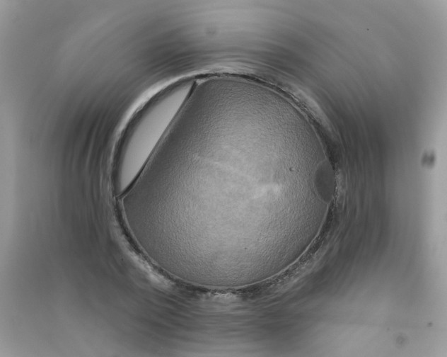 X0000090770784200708172107