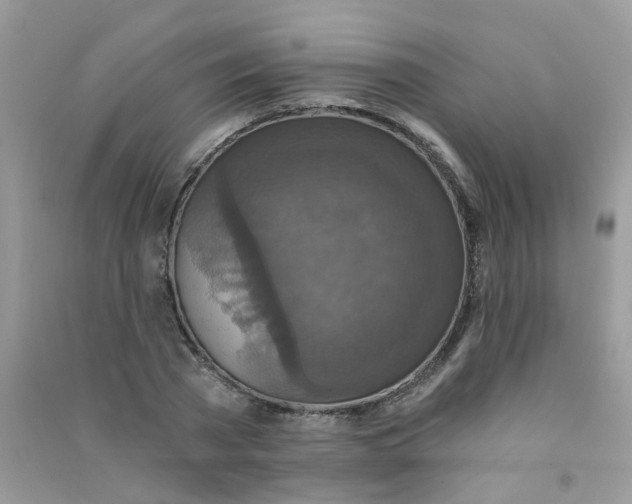 X0000090770785200708172107