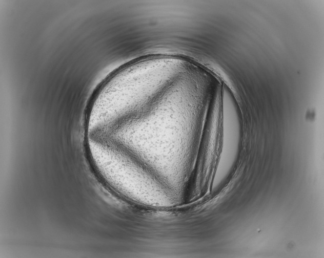 X0000090770787200708172107