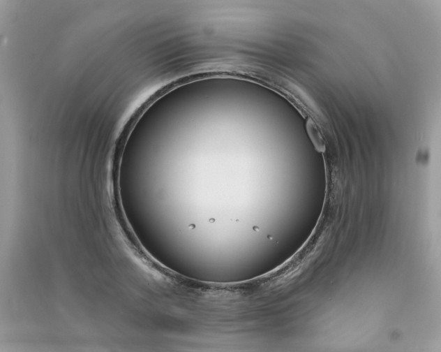X0000090770788200708172107