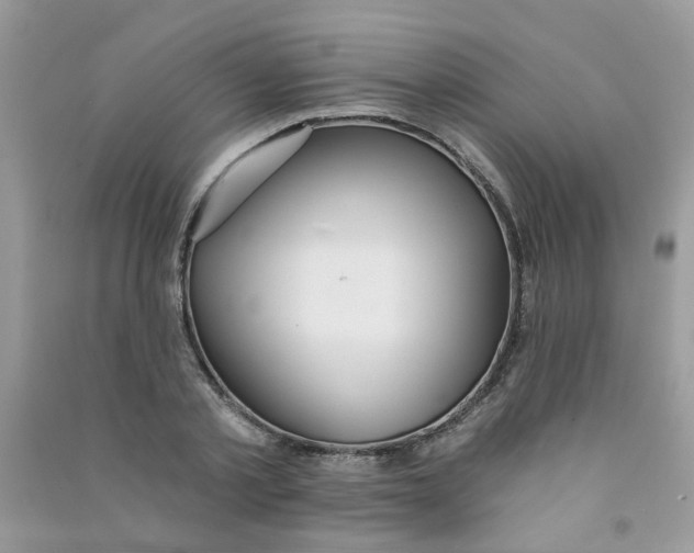 X0000090770789200708172107