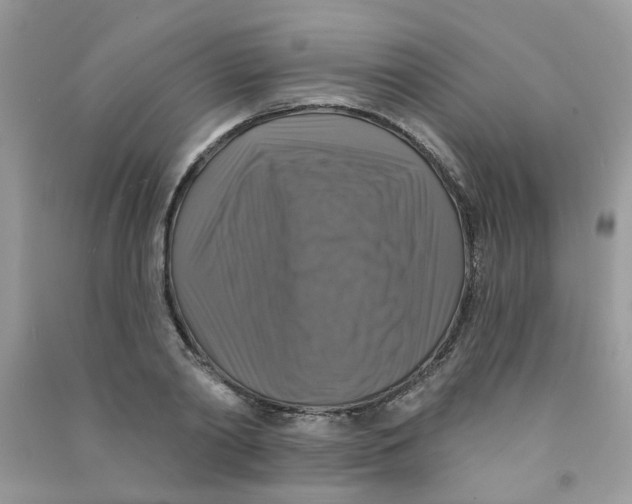X0000090770790200708172107