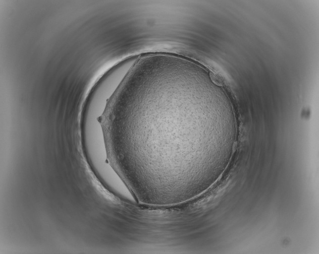 X0000090770792200708172107