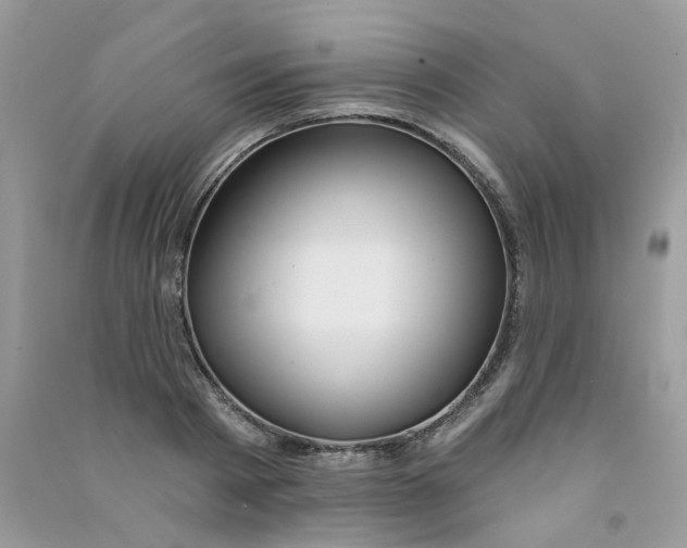 X0000090770793200708172107