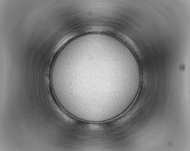 X0000090770794200708172107