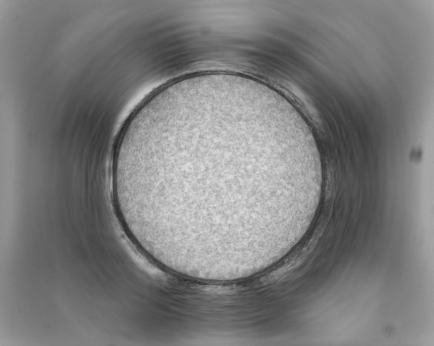 X0000090770796200708172107