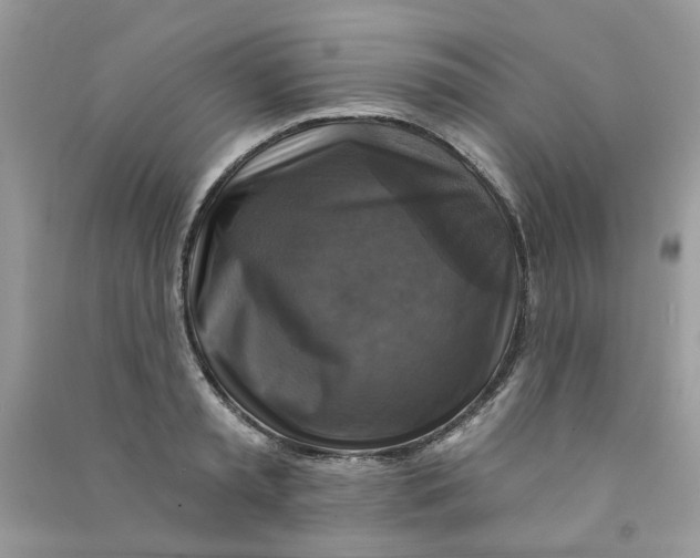 X0000090770797200708172107