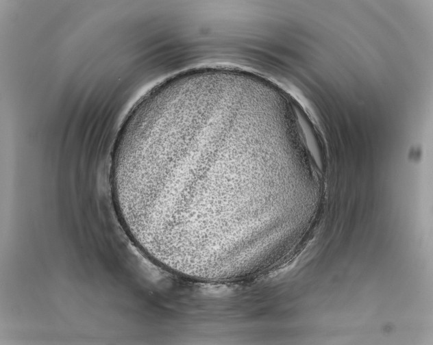 X0000090770799200708172107