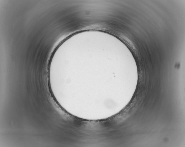 X0000090770800200708172107