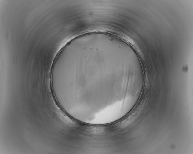 X0000090770802200708172107