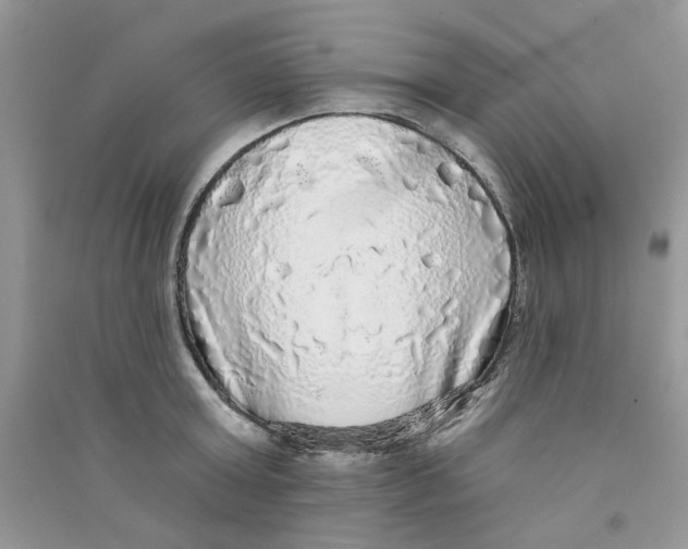X0000090770803200708172107
