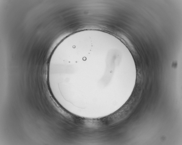 X0000090770804200708172107