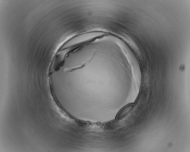 X0000090770806200708172107