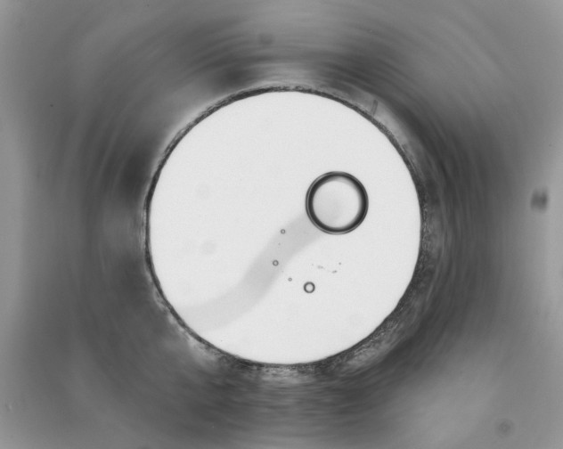 X0000090770807200708172107