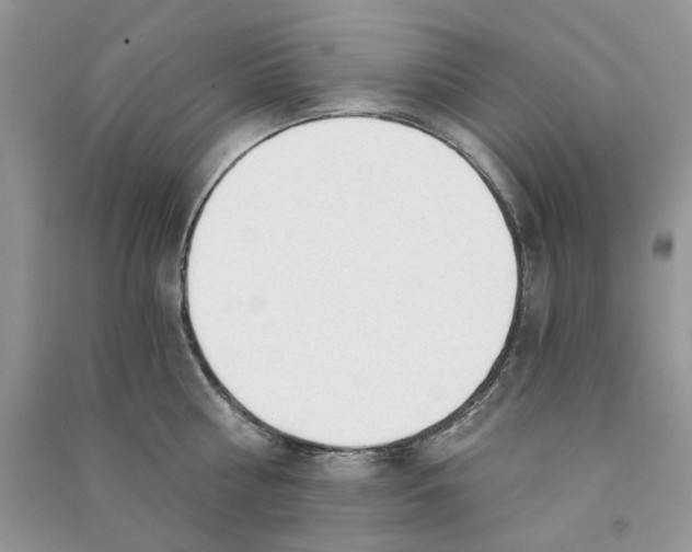 X0000090770810200708172107