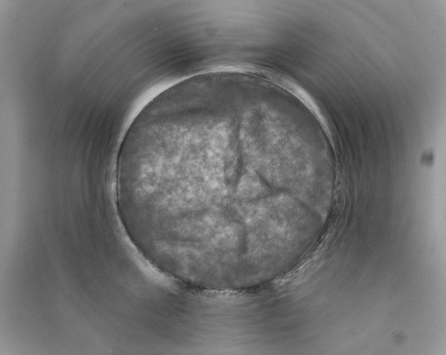 X0000090770811200708172107