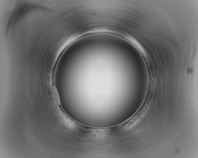 X0000090770813200708172107