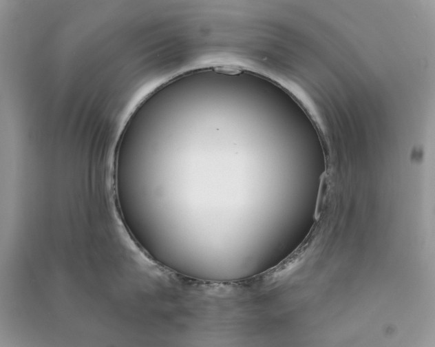 X0000090770815200708172106
