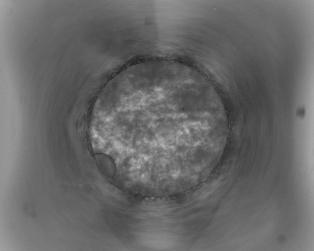 X0000090770817200708172106