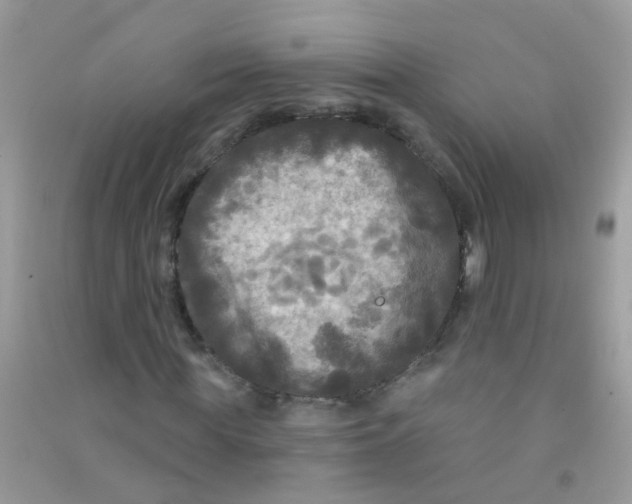 X0000090770819200708172106