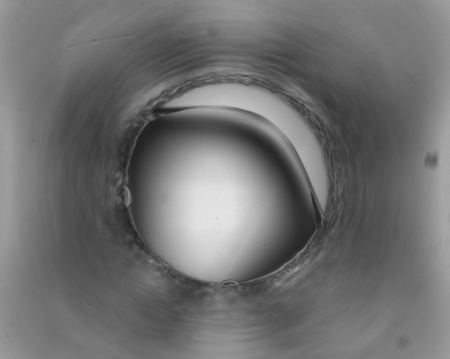 X0000090770822200708172106
