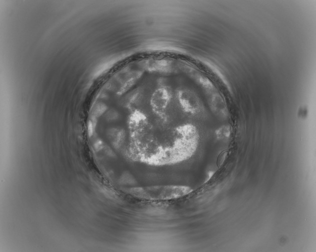 X0000090770823200708172106