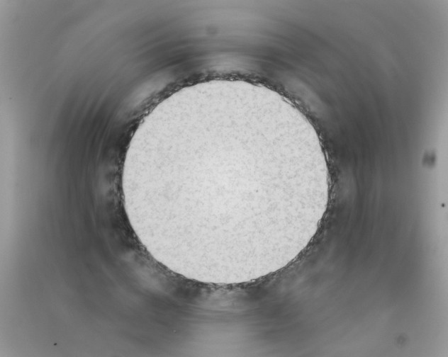 X0000090770824200708172106