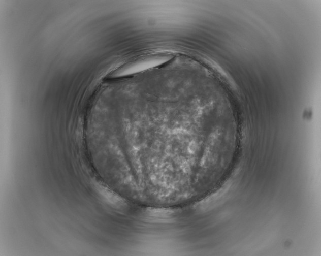 X0000090770825200708172106