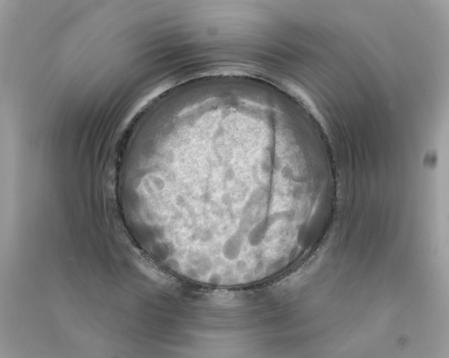 X0000090770827200708172106