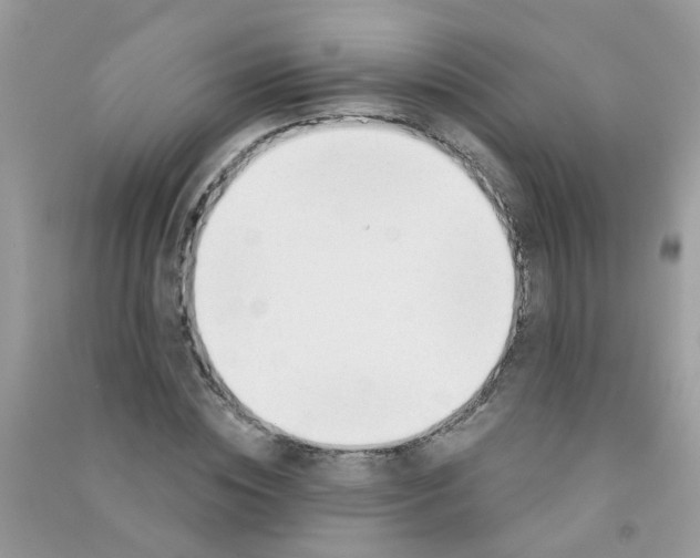 X0000090770828200708172106