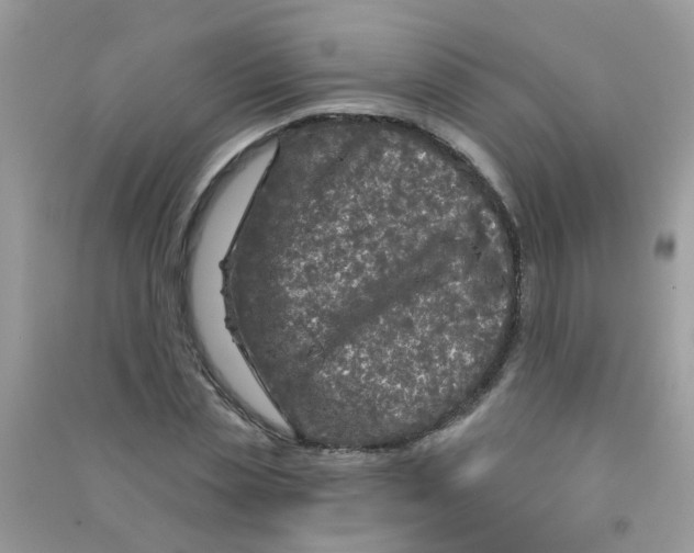 X0000090770829200708172106