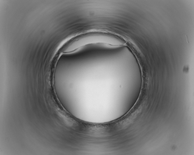 X0000090770830200708172106