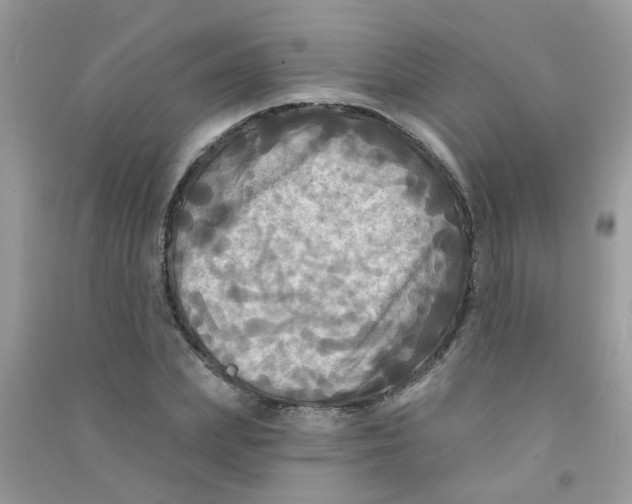 X0000090770831200708172106