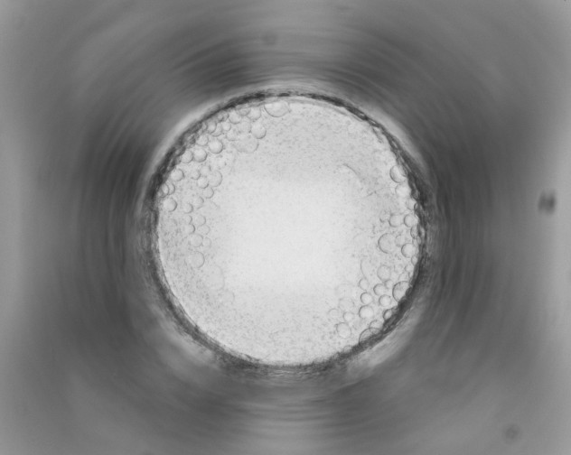X0000090770832200708172106