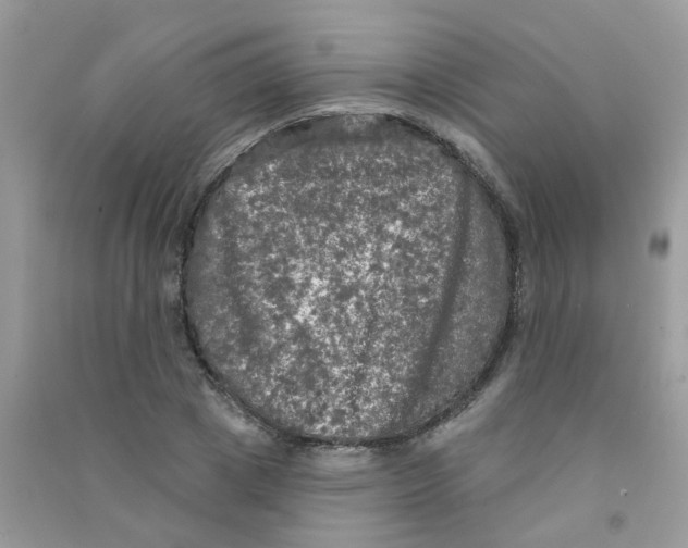 X0000090770833200708172106