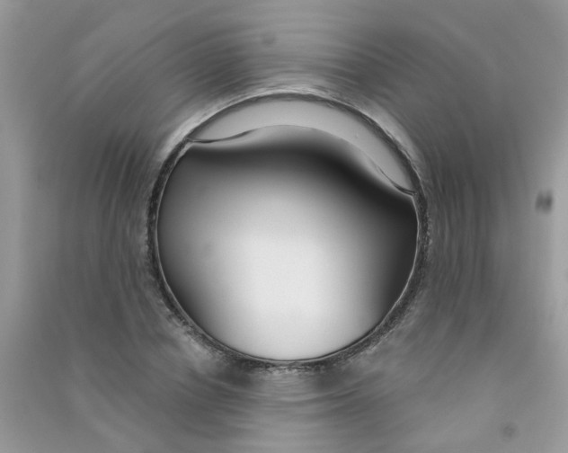 X0000090770834200708172106