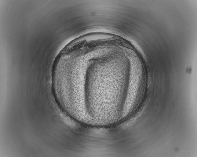 X0000090770837200708172106