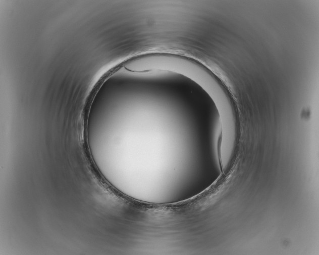 X0000090770838200708172106