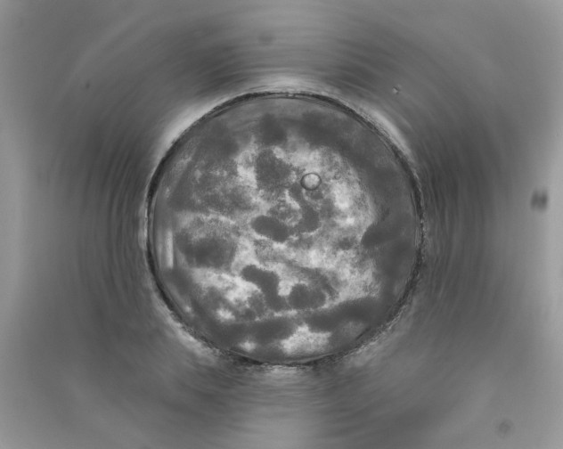 X0000090770839200708172106