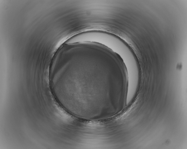 X0000090770842200708172106
